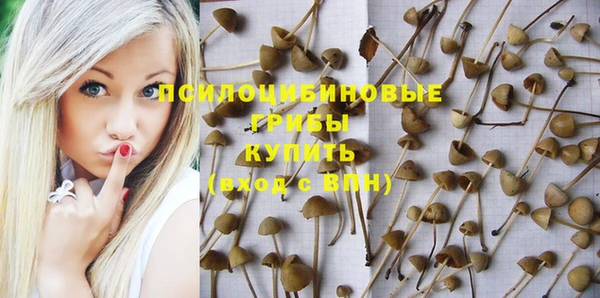 2c-b Долгопрудный