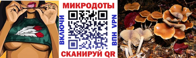 Галлюциногенные грибы MAGIC MUSHROOMS  Купить  Мичуринск 